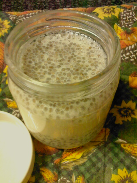 Chia seeds yogurt